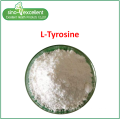 Pó fino de aminoácido L-tirosina